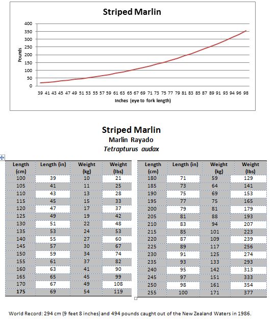 Blue Marlin Weight Chart